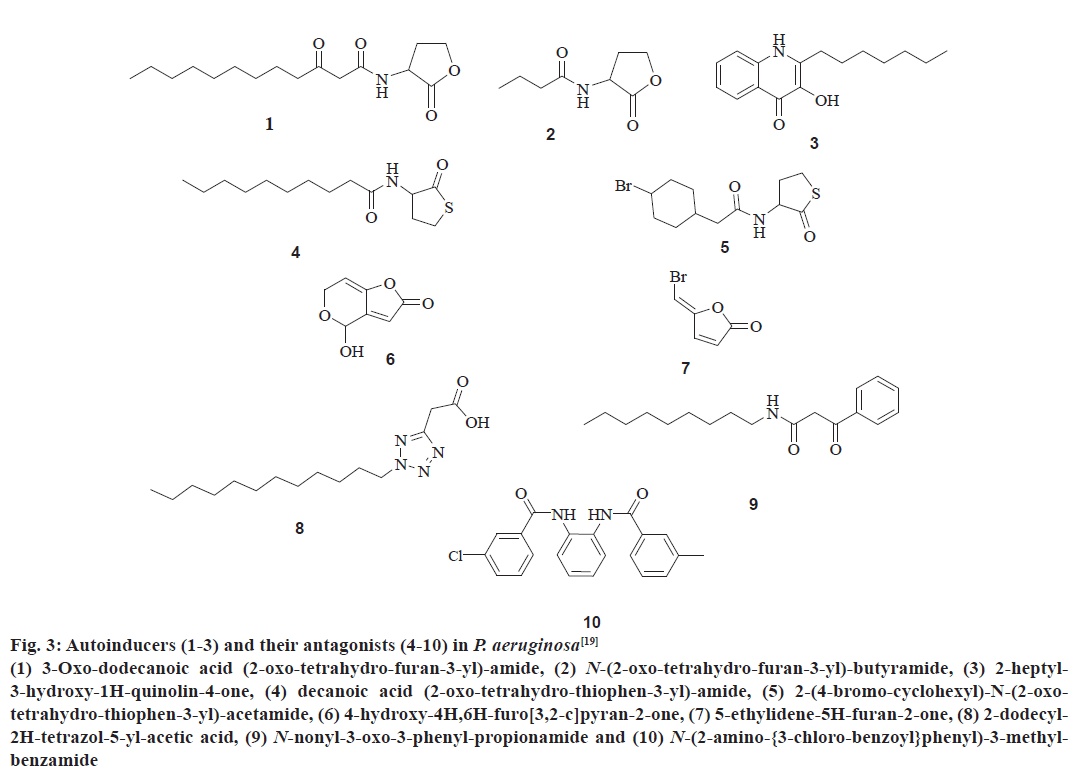 pharmaceutical-sciences-autoinducers-antagonists