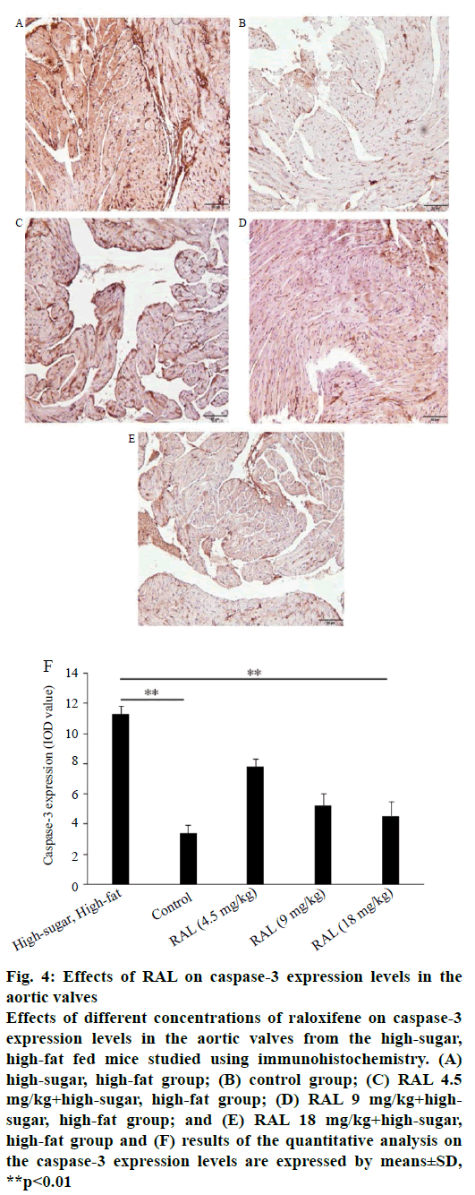 pharmaceutical-sciences-caspase-aortic