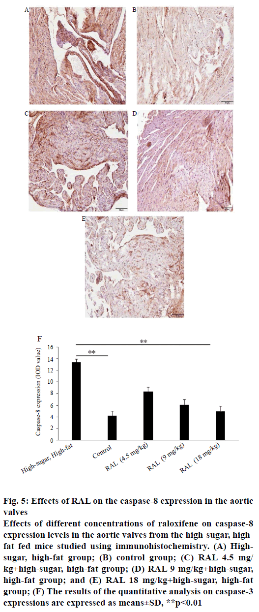 pharmaceutical-sciences-caspase-aortic