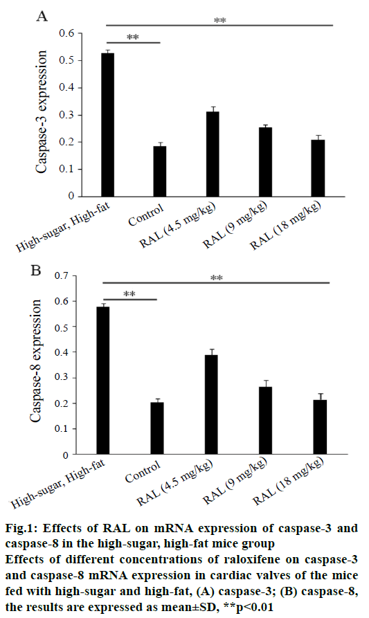 pharmaceutical-sciences-caspase-mice