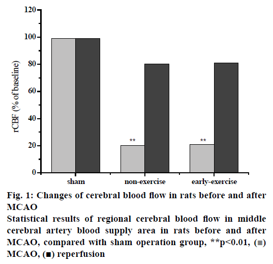 pharmaceutical-sciences-cerebral-blood