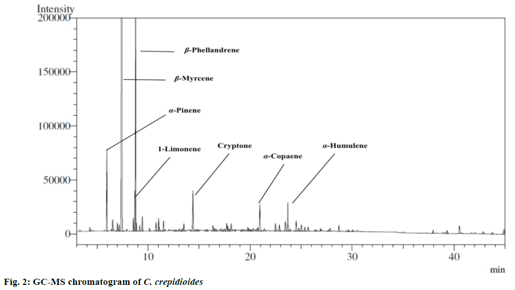 pharmaceutical-sciences-chromatogram