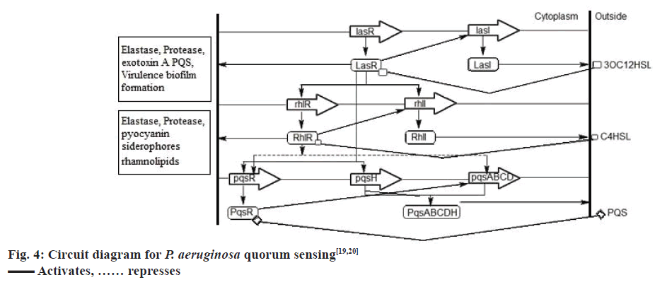 pharmaceutical-sciences-circuit-diagram