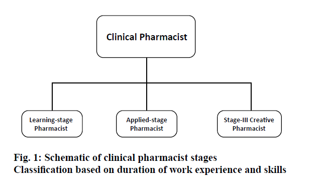 pharmaceutical-sciences-clinical-pharmacist-stages