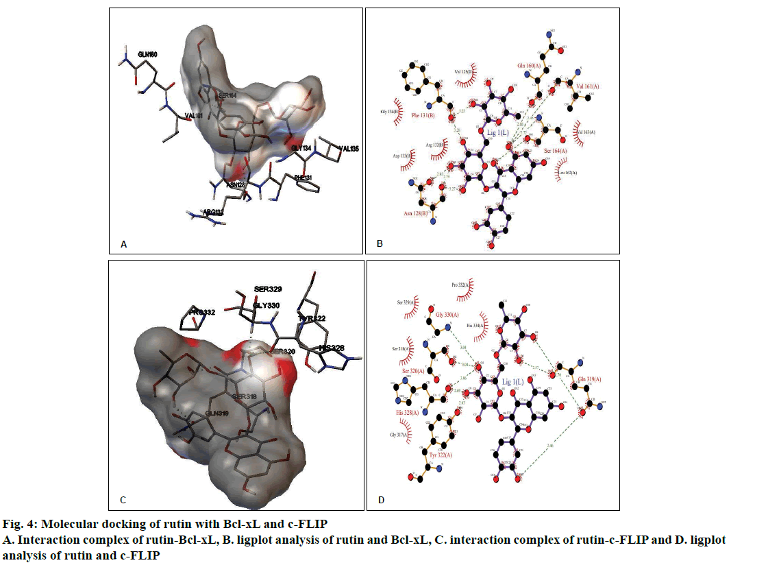 pharmaceutical-sciences-docking-rutin