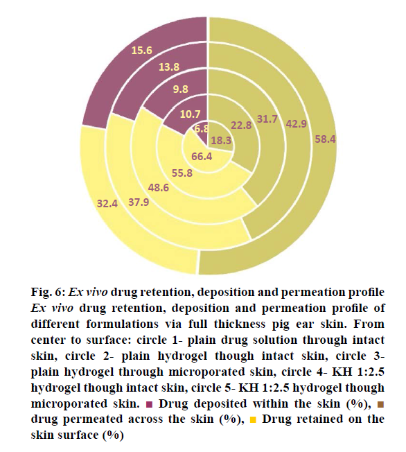 pharmaceutical-sciences-drug-retention