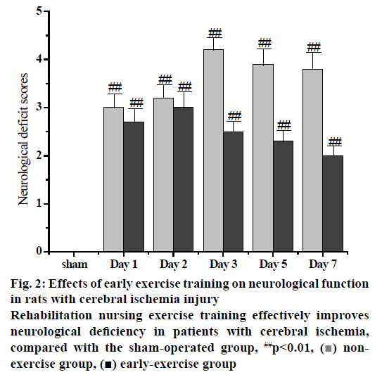 pharmaceutical-sciences-exercise-neurological