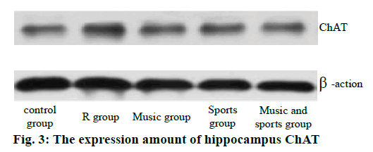 pharmaceutical-sciences-expression-hippocampus