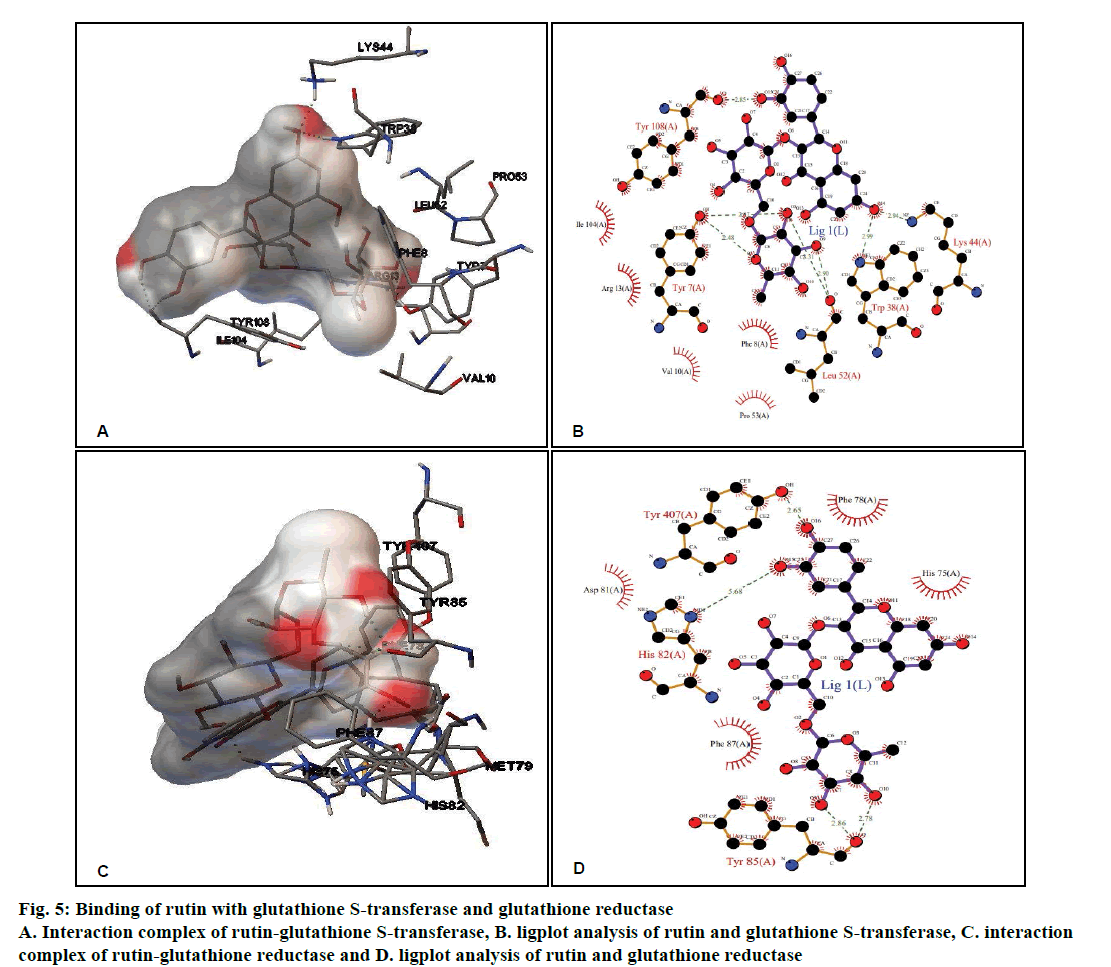 pharmaceutical-sciences-glutathione-reductase