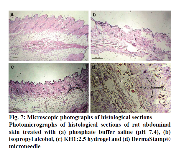 pharmaceutical-sciences-histological-sections