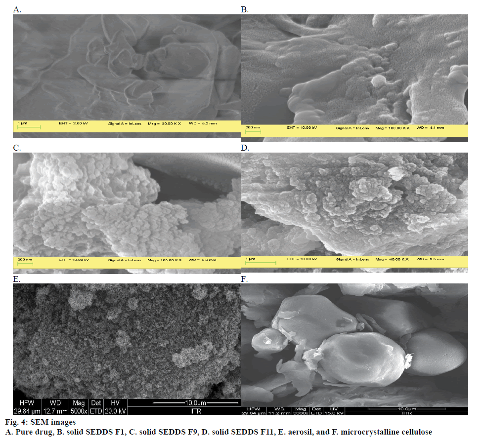 pharmaceutical-sciences-images