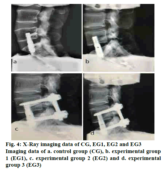 pharmaceutical-sciences-imaging-data