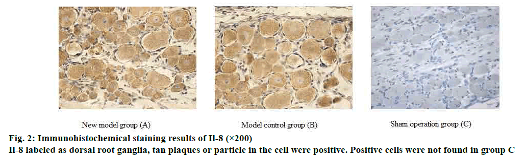 pharmaceutical-sciences-immunohistochemical-staining