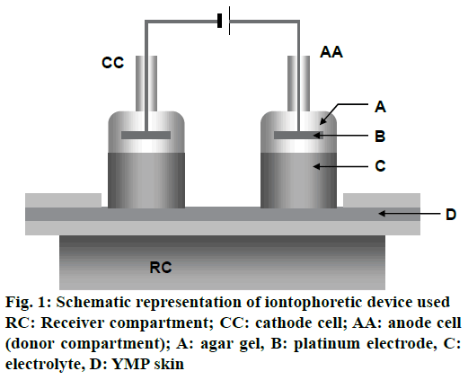 pharmaceutical-sciences-iontophoretic-cathode