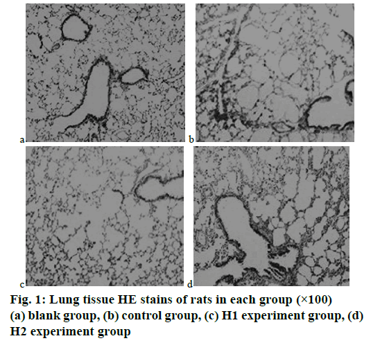 pharmaceutical-sciences-lung-tissue