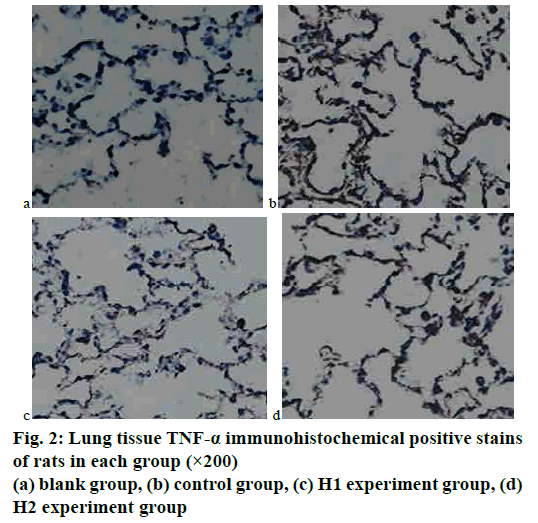 pharmaceutical-sciences-lung-tissue