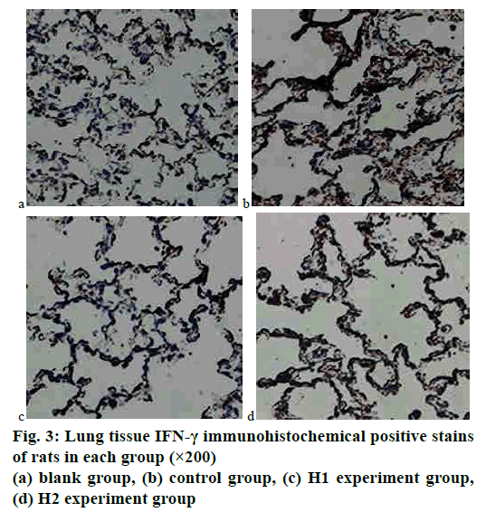 pharmaceutical-sciences-lung-tissue