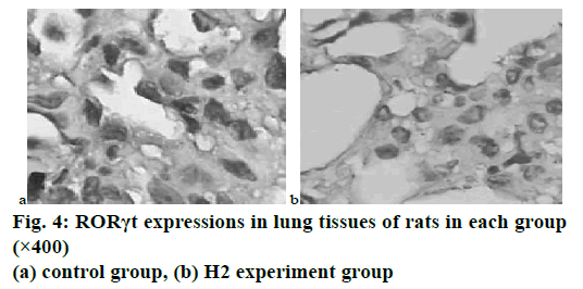 pharmaceutical-sciences-lung-tissues