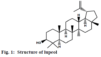 pharmaceutical-sciences-lupeol