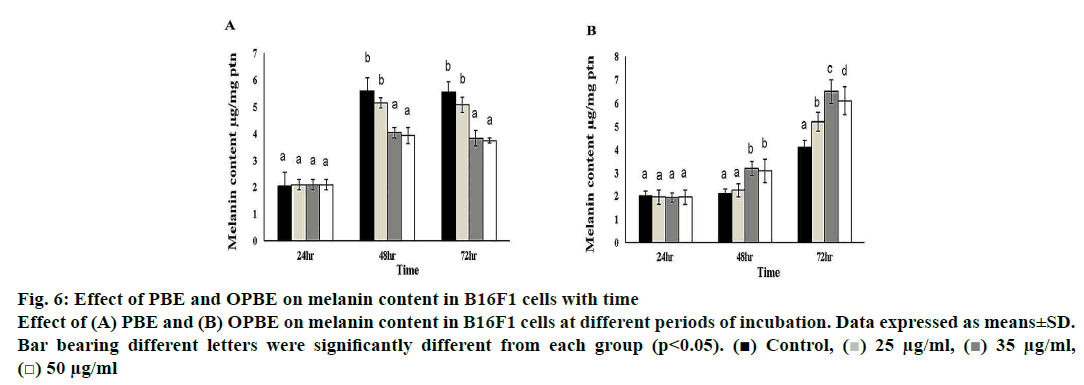 pharmaceutical-sciences-melanin-cells