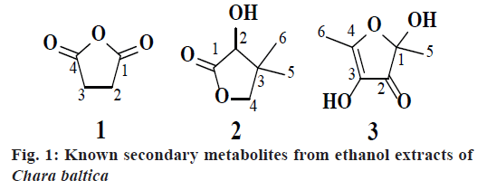 pharmaceutical-sciences-metabolites-ethanol