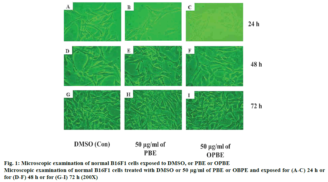 pharmaceutical-sciences-microscopic-cells