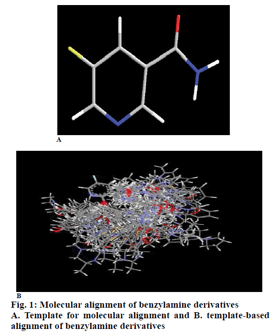 pharmaceutical-sciences-molecular-alignment