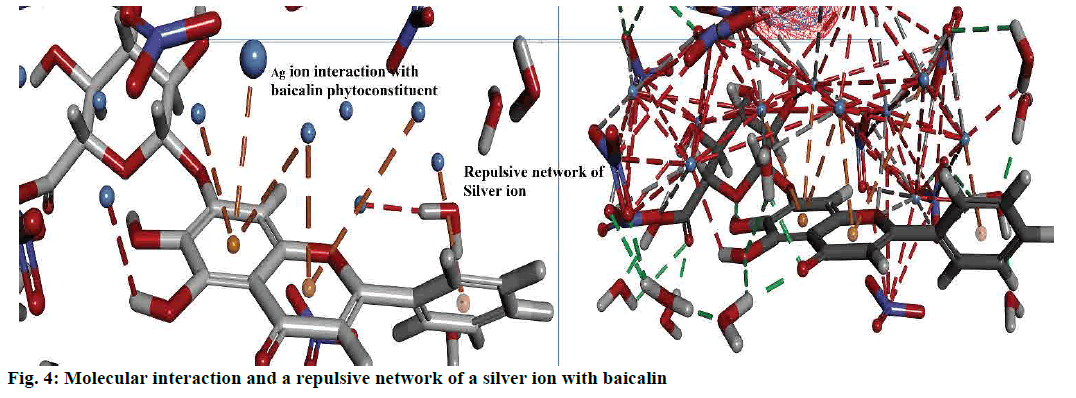 pharmaceutical-sciences-molecular-repulsive