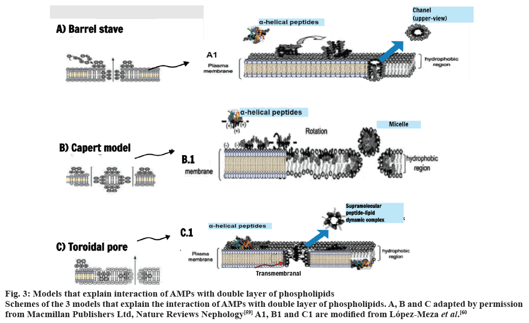 pharmaceutical-sciences-phospholipids