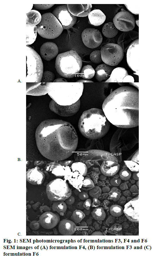 pharmaceutical-sciences-photomicrographs-formulations