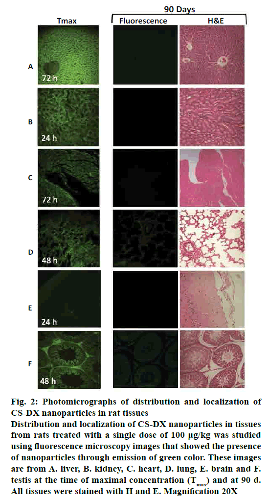 pharmaceutical-sciences-photomicrographs-nanoparticles