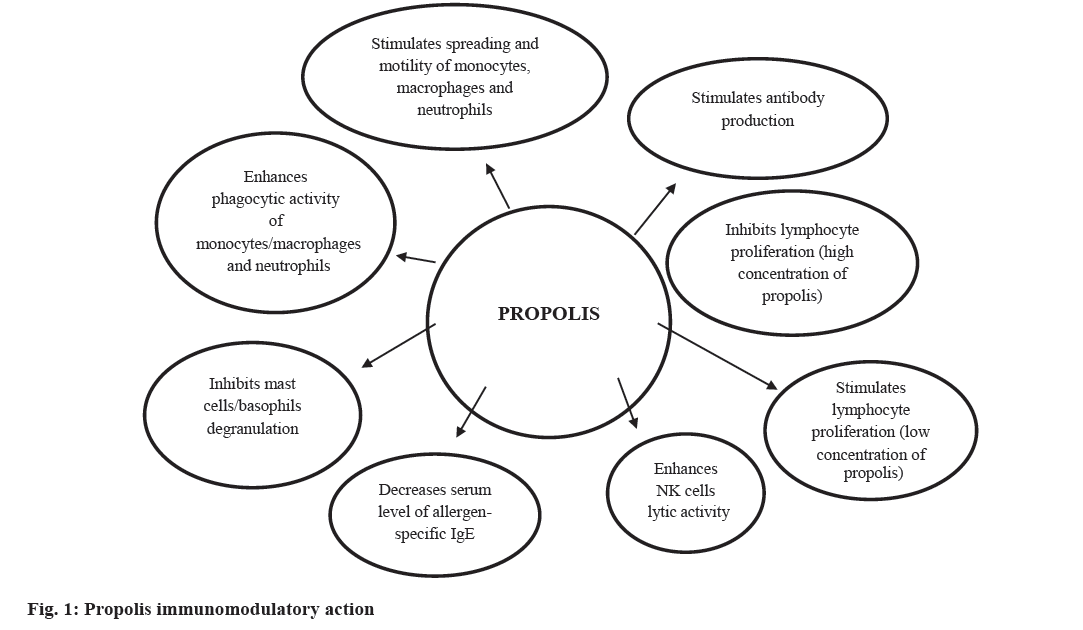 pharmaceutical-sciences-propolis-immunomodulatory