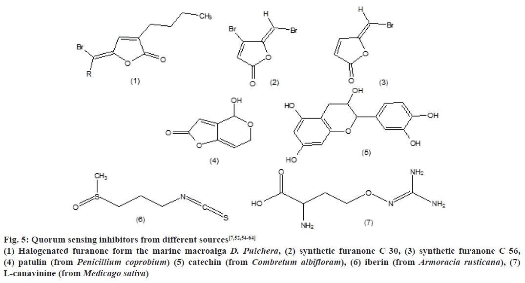 pharmaceutical-sciences-quorum-sensing