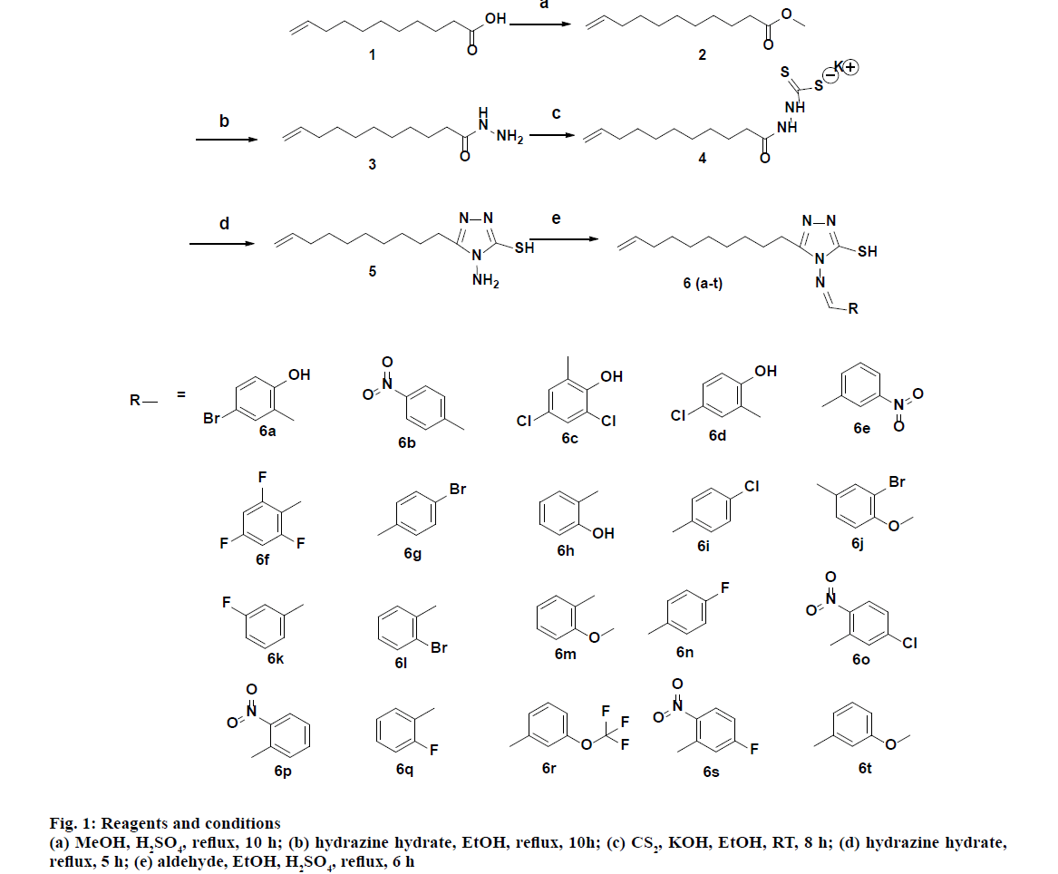 pharmaceutical-sciences-reagents-conditions