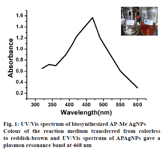 pharmaceutical-sciences-spectrum-biosynthesized