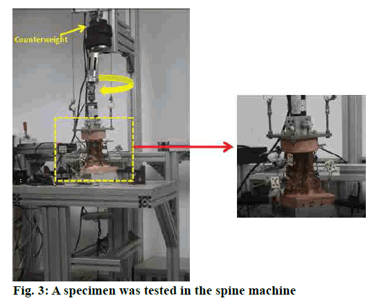 pharmaceutical-sciences-spine-machine