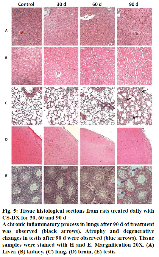 pharmaceutical-sciences-tissue-histological