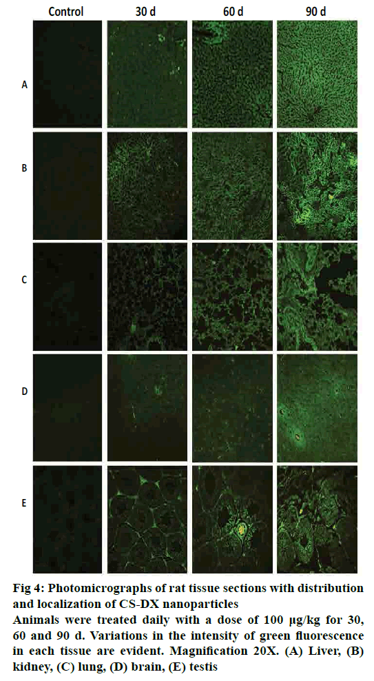 pharmaceutical-sciences-tissue-nanoparticles