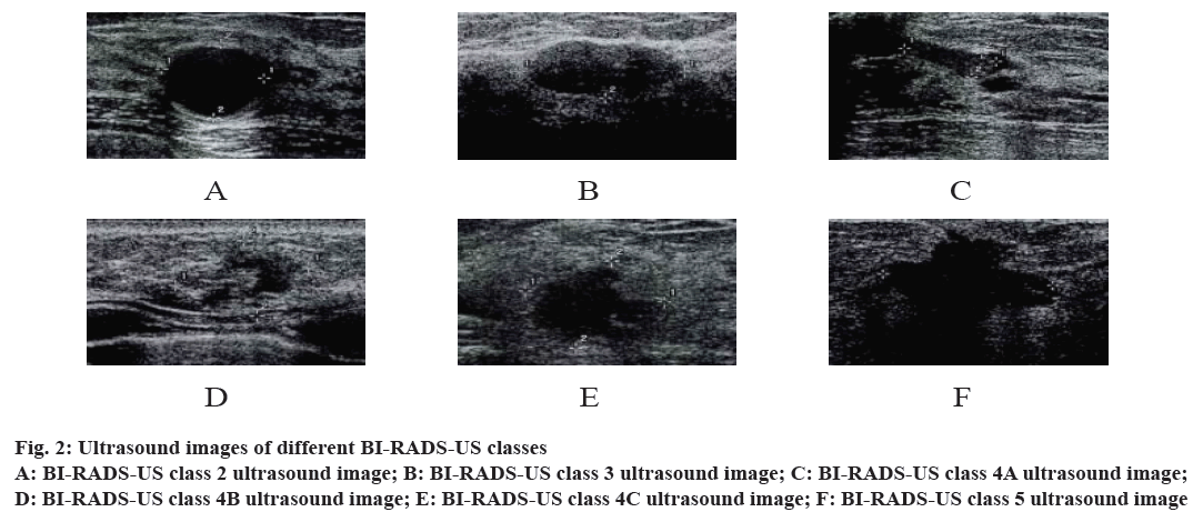 pharmaceutical-sciences-ultrasound-classes