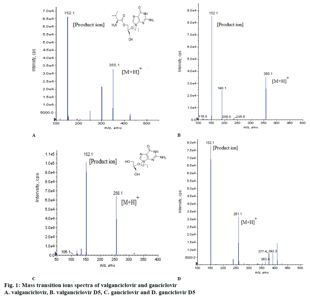 pharmaceutical-sciences-valganciclovir-ganciclovir