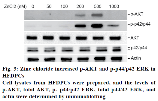 pharmaceutical-sciences-zinc-chloride-lysates